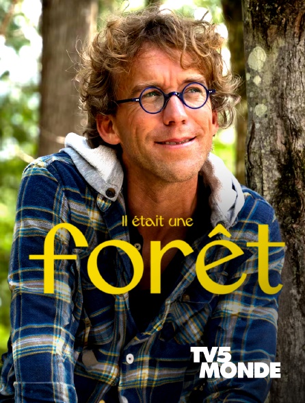 TV5MONDE - Il était une forêt