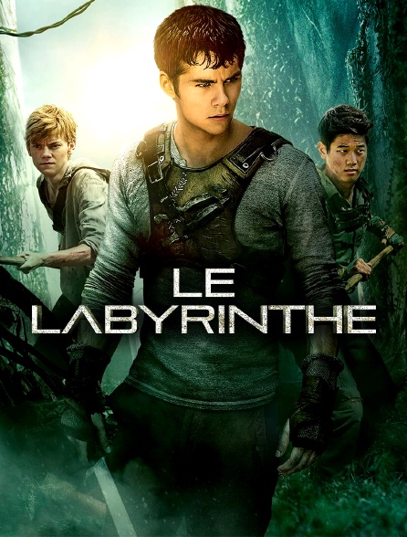 Le labyrinthe