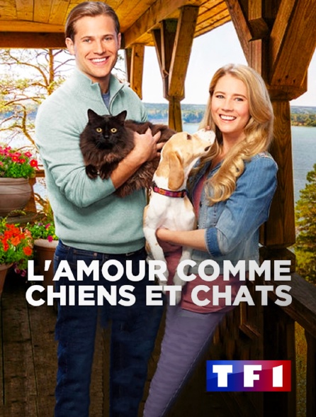 TF1 - L'amour comme chiens et chats