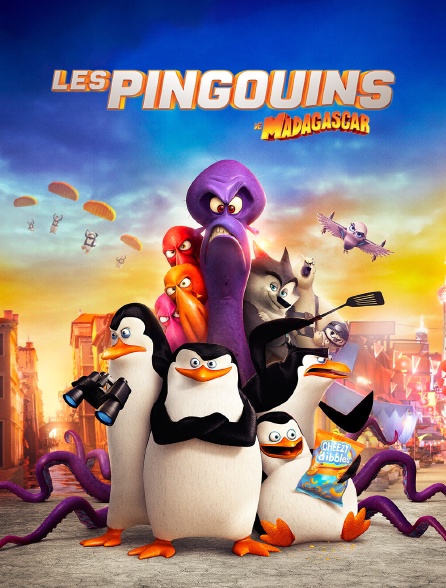 Les pingouins de Madagascar