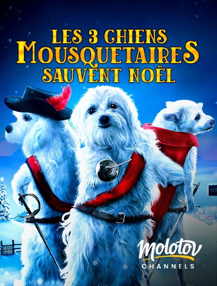 Mango - Les 3 chiens mousquetaires sauvent Noël