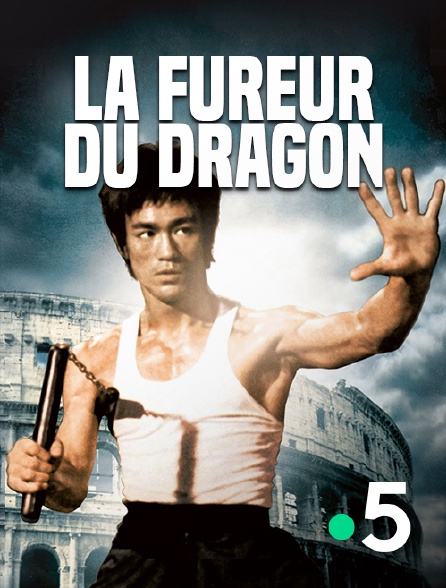 France 5 - La fureur du dragon