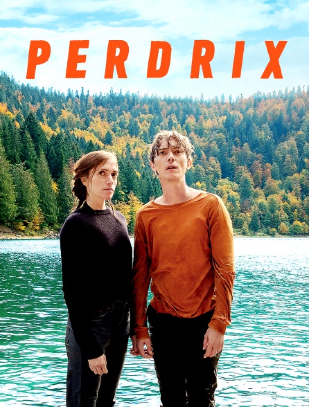 Perdrix