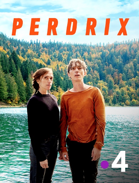 France 4 - Perdrix