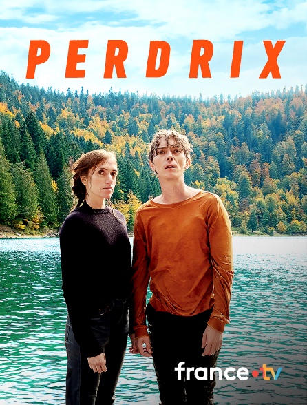 France.tv - Perdrix