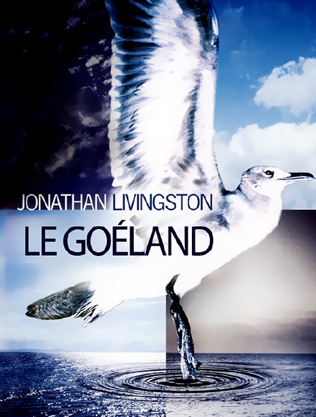 Jonathan Livingston le goéland