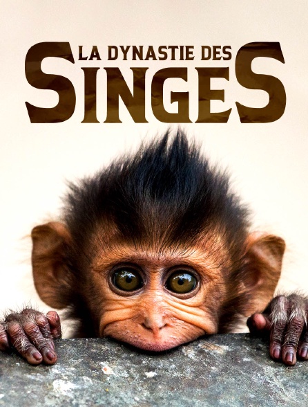 La dynastie des singes