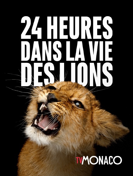 TV Monaco - 24 heures dans la vie des lions