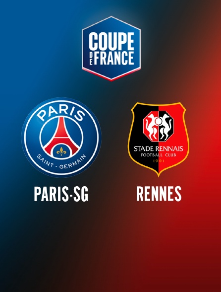 Football - Demi-finale de Coupe de France : Paris-SG / Rennes