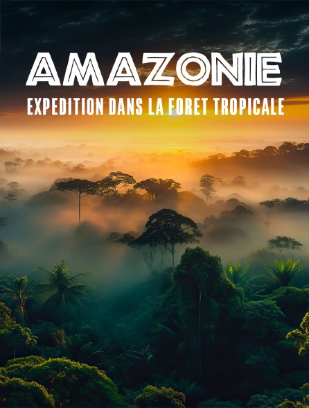 Amazonie : Expédition dans la forêt tropicale