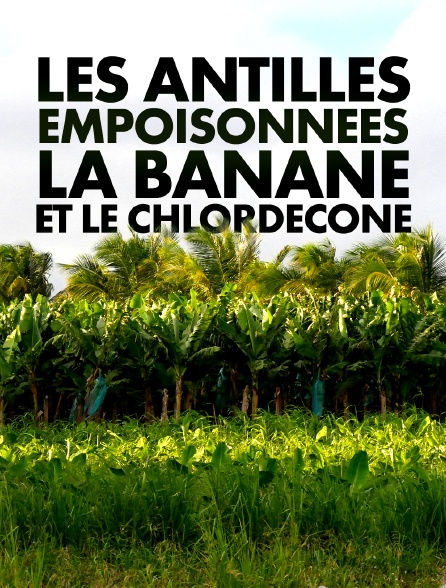 Les Antilles empoisonnées, la banane et le chlordécone