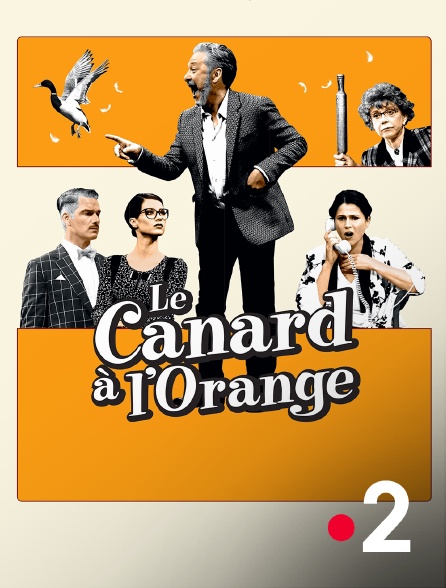 France 2 - Le canard à l'orange
