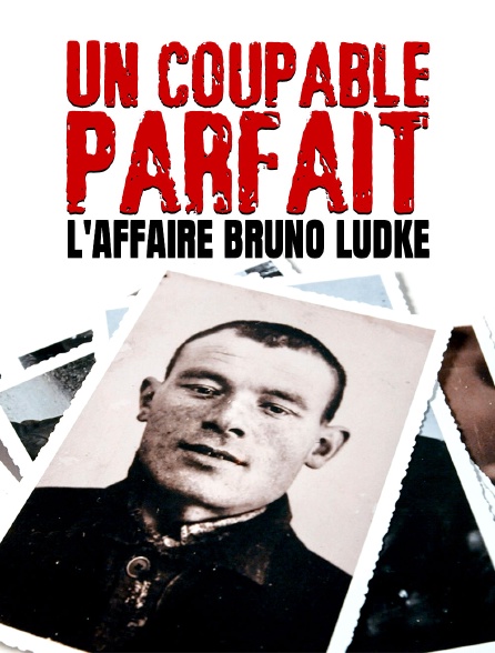 Un coupable parfait : L'affaire Bruno Lüdke