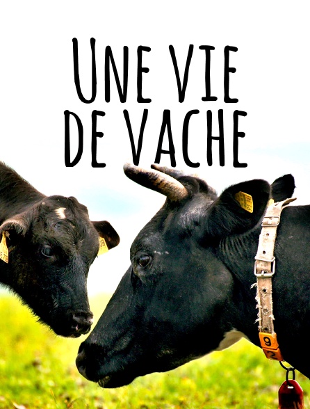 Une vie de vache