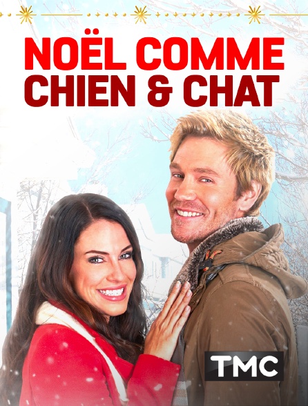 TMC - Noël comme chien et chat