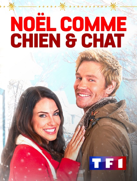 TF1 - Noël comme chien et chat