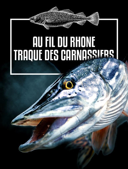 Au fil du Rhône, traque des carnassiers