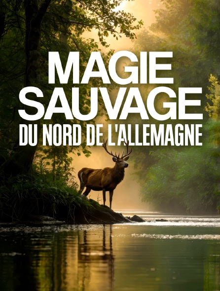 Magie sauvage du nord de l'Allemagne