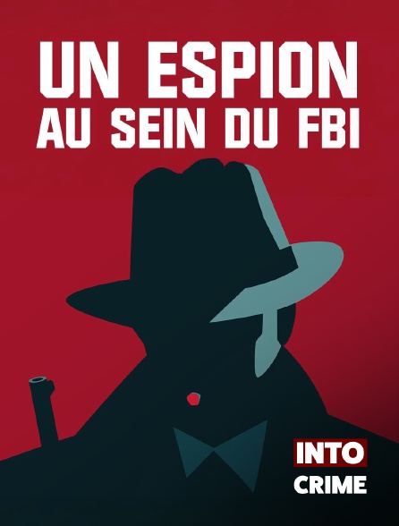 Into Crime - Un espion au sein du FBI