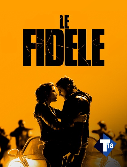 T18 - Le Fidèle