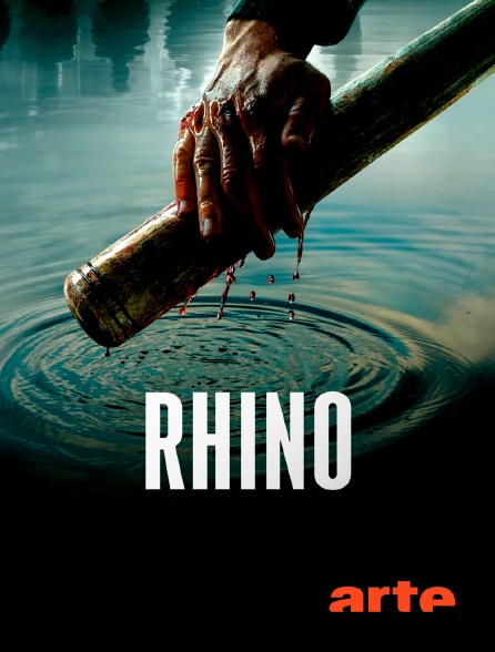 Arte - Rhino