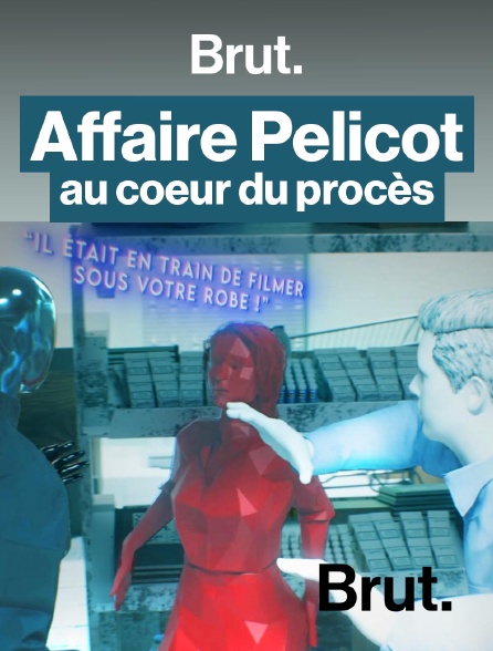 Brut - Retour sur le procès Pelicot, une affaire historique. en replay