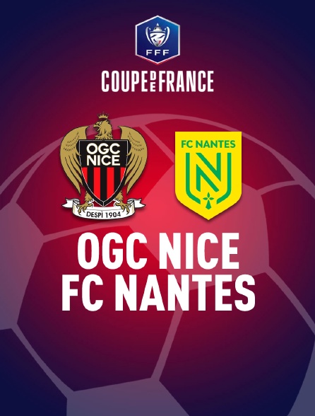 Football - La finale de Coupe de France : Nice / Nantes