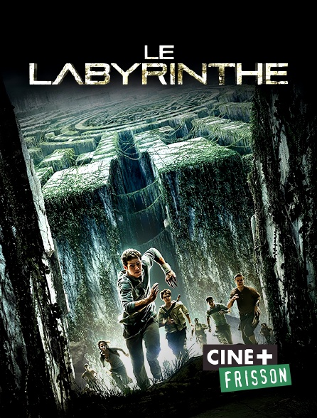 Ciné+ Frisson - Le labyrinthe