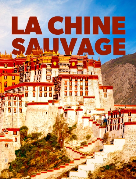 Destination Wild : La Chine sauvage