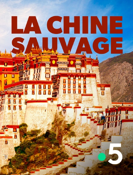 France 5 - Destination Wild : La Chine sauvage