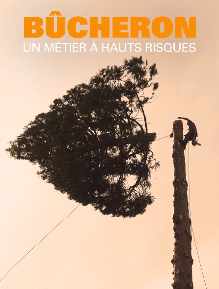 Bucheron : un métier à hauts risques