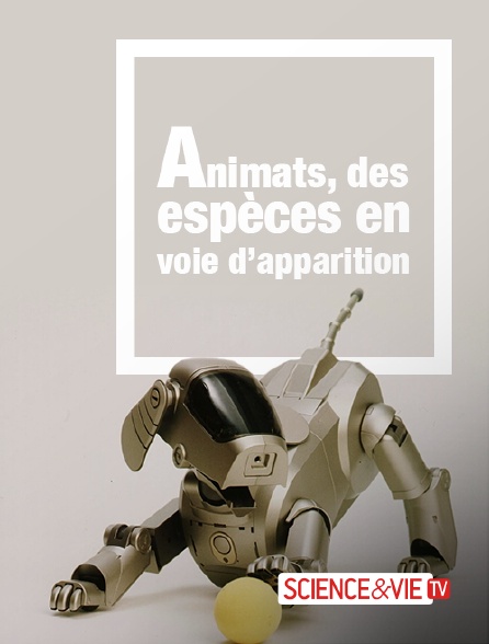 Science et Vie TV - Animats, des espèces en voie d'apparition