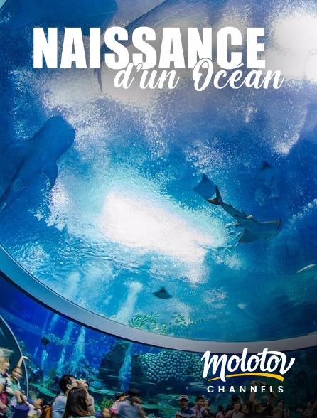 Molotov channels - Naissance d'un océan