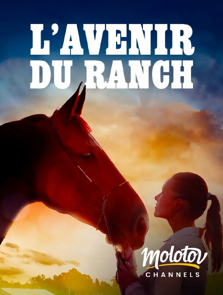 Molotov Channels - L'avenir du ranch