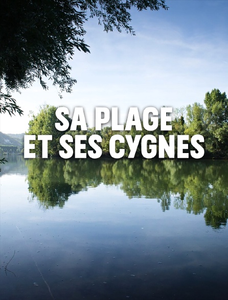 Sa plage et ses cygnes