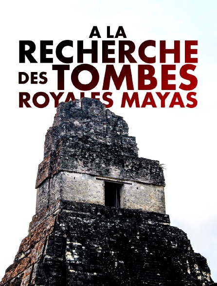 A la recherche des tombes royales mayas