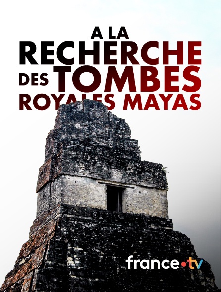 france.tv - A la recherche des tombes royales mayas