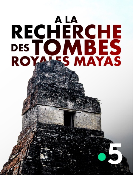 France 5 - A la recherche des tombes royales mayas