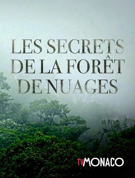 TV Monaco - Les secrets de la forêt de nuages