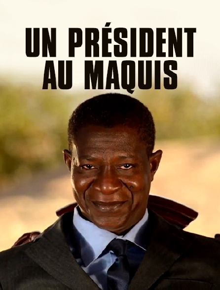 Un président au maquis