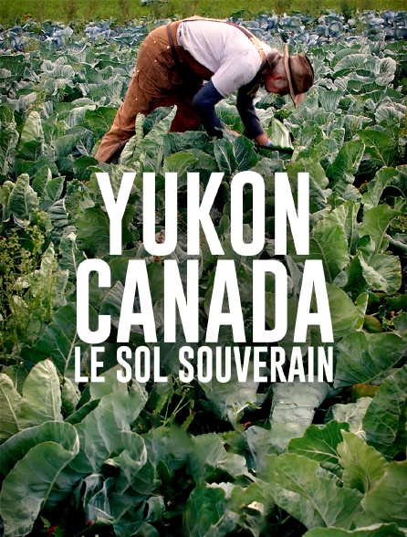 Yukon, Canada : le sol souverain