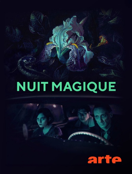 Arte - Nuit magique