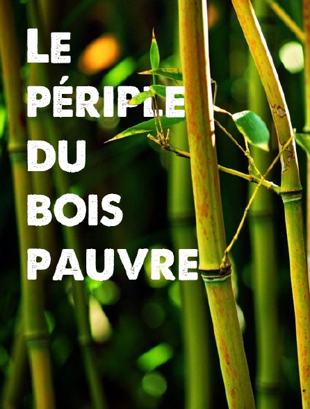 Le périple du bois pauvre