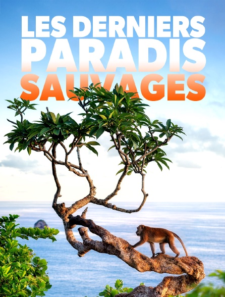 Les derniers paradis sauvages