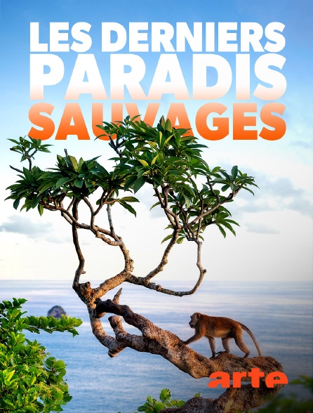 Arte - Les derniers paradis sauvages