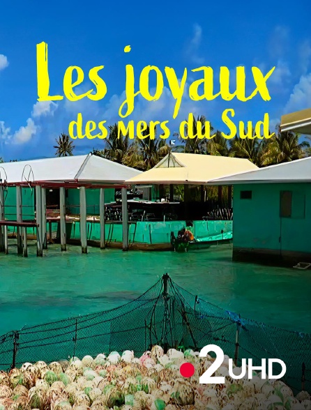 France 2 UHD - Les joyaux des mers du Sud