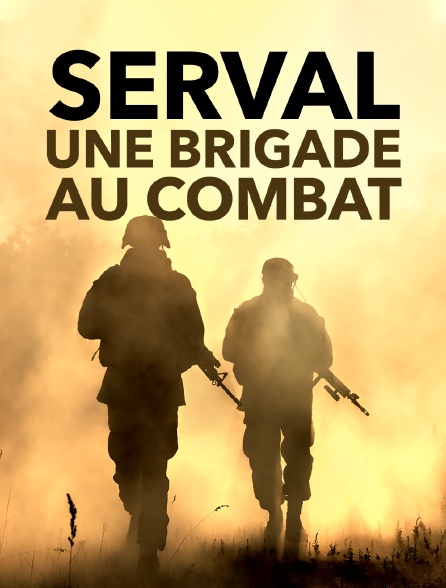 Serval, une brigade au combat