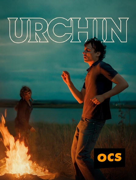OCS - Urchin
