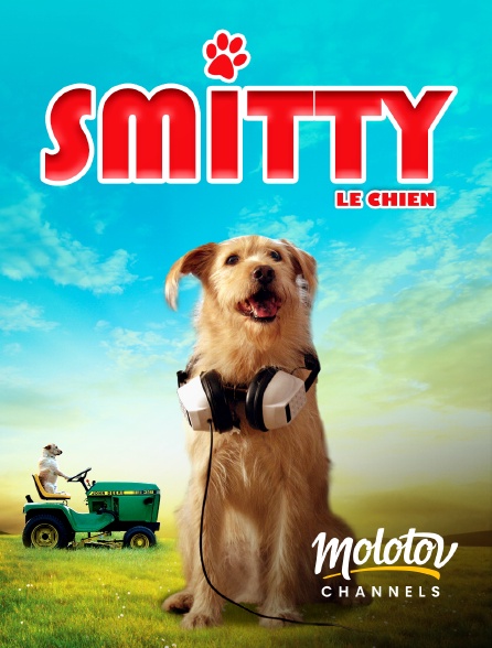 Mango - Smitty le chien