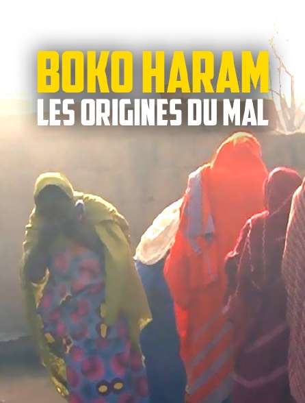 Boko Haram : les origines du mal